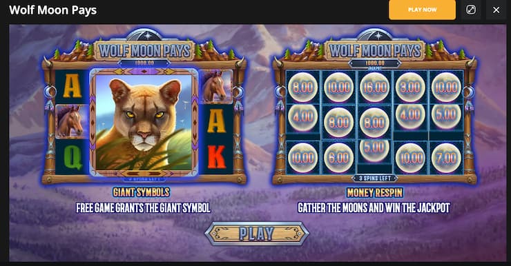 An image from BetWhale showing demo casino play on an online slot.